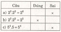 Các dạng toán về lũy thừa với số mũ tự nhiên. Nhân hai lũy thừa cùng cơ số – Bồi dưỡng Toán 6