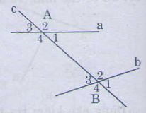 Các góc tạo bởi một đường thẳng cắt hai đường thẳng