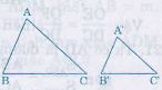 Định nghĩa, tính chất hai tam giác đồng dạng