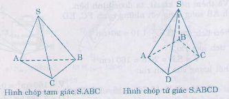 Diện tích thể tích của hình chóp đều và hình chóp cụt đều