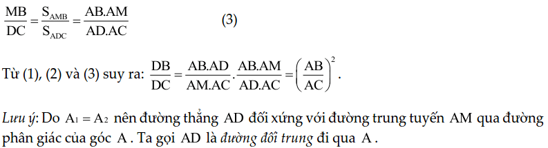 Chuyên đề tam giác đồng dạng – Toán lớp 8