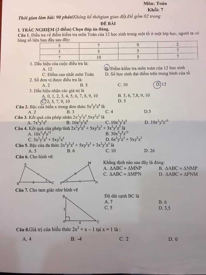 Đề thi HK2 môn Toán 7 THCS Trần Hưng Đạo, Hải Phòng 2018-2019