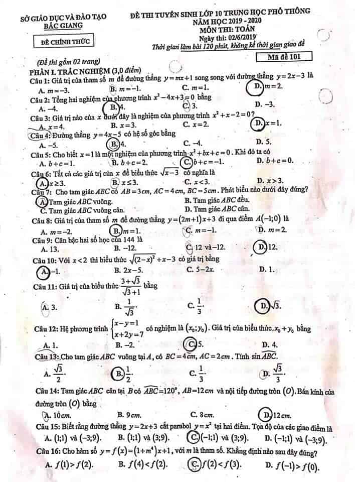Đề thi môn Toán vào lớp 10 THPT tỉnh Bắc Giang năm 2019-2020
