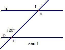 Đề kiểm tra 1 tiết chương 1 Hình học 7 THCS Chu Văn An